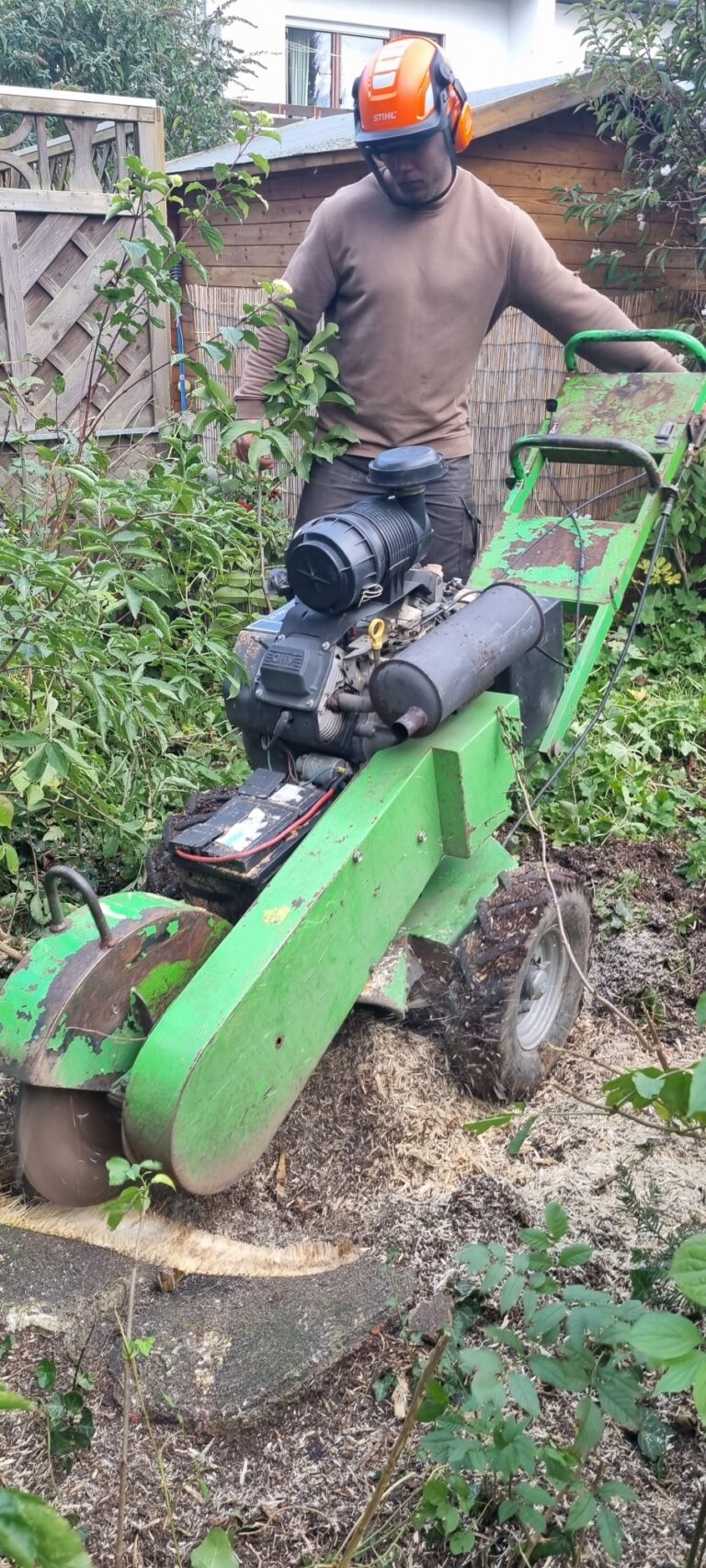 Gartenarbeit Beispiel 7