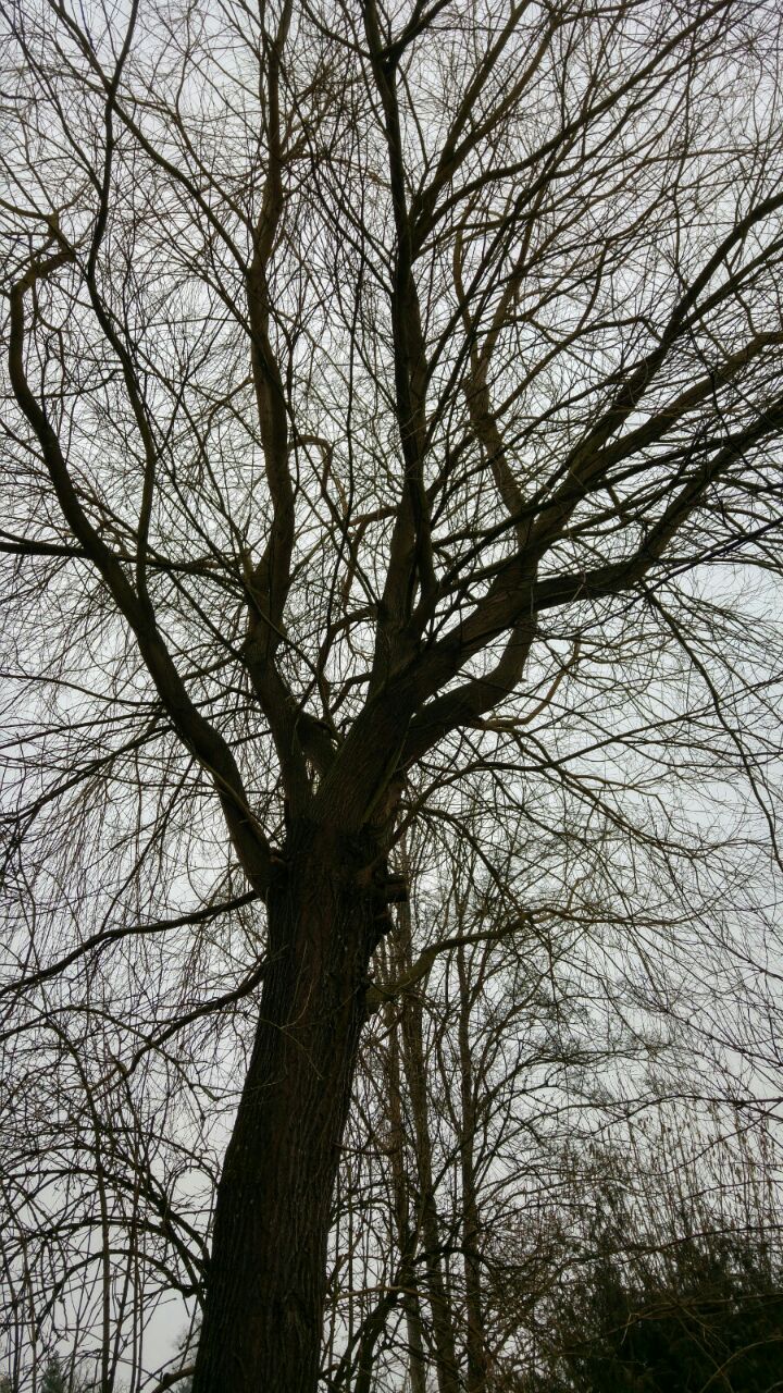 Gartenarbeit
