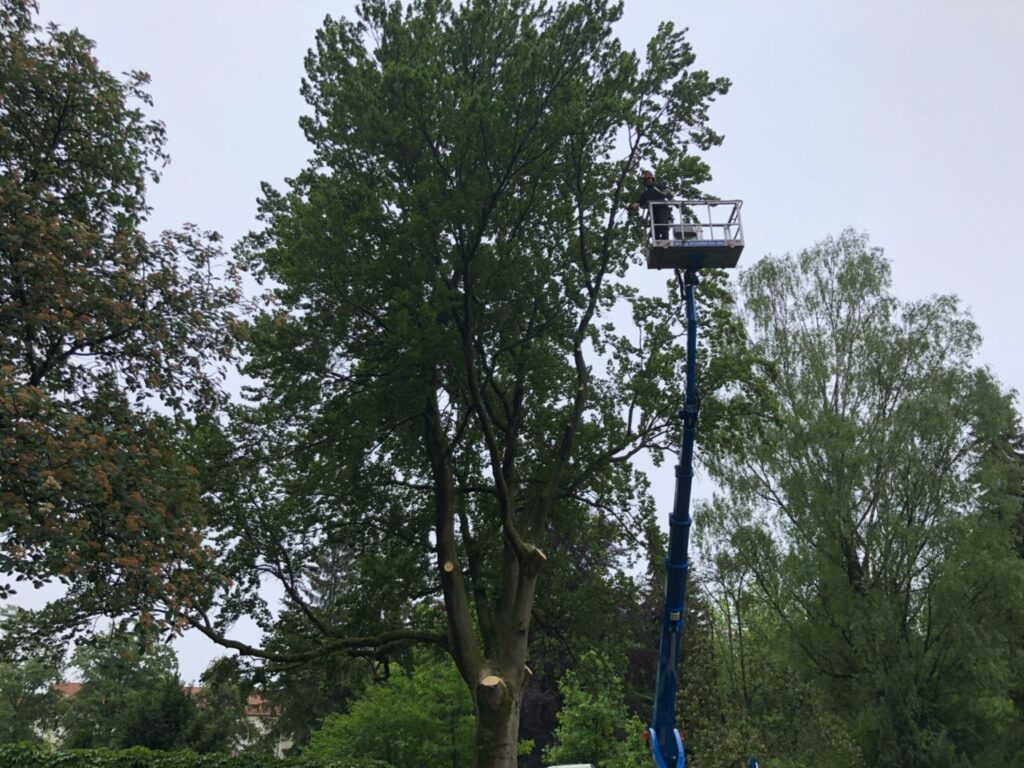 Gartenarbeit Beispiel 10