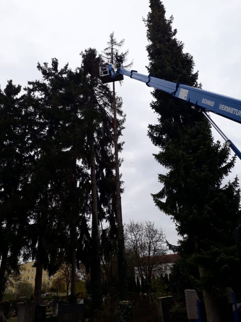 Gartenarbeit Beispiel 13