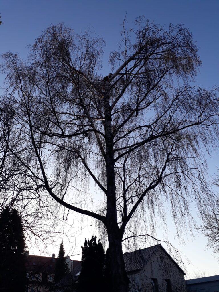 Gartenarbeit
