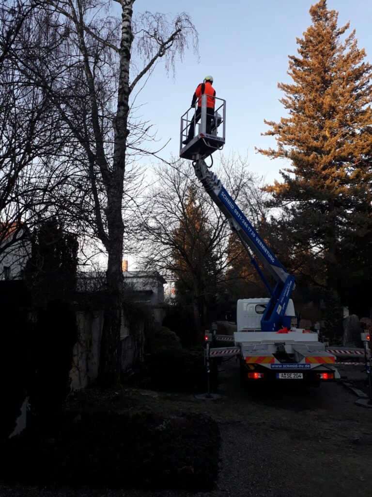 Gartenarbeit Beispiel 15