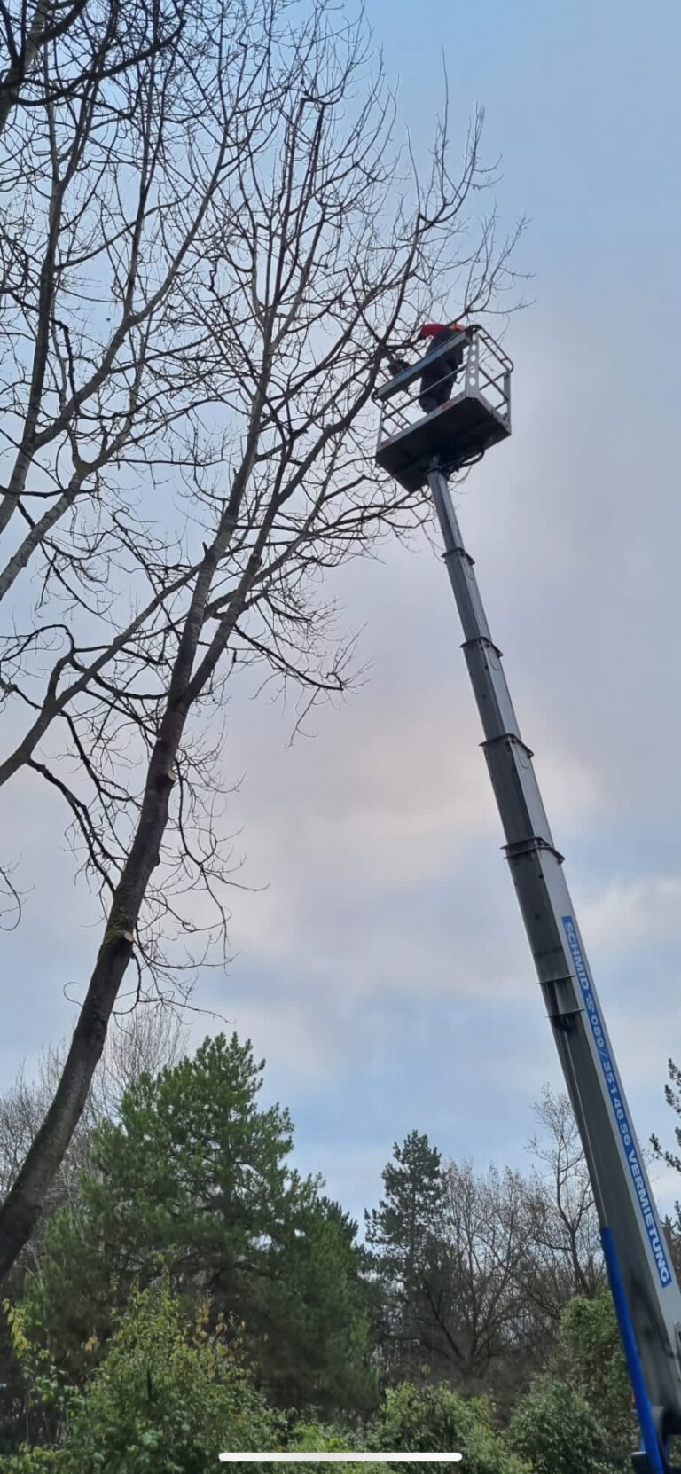 Gartenarbeit Beispiel 20